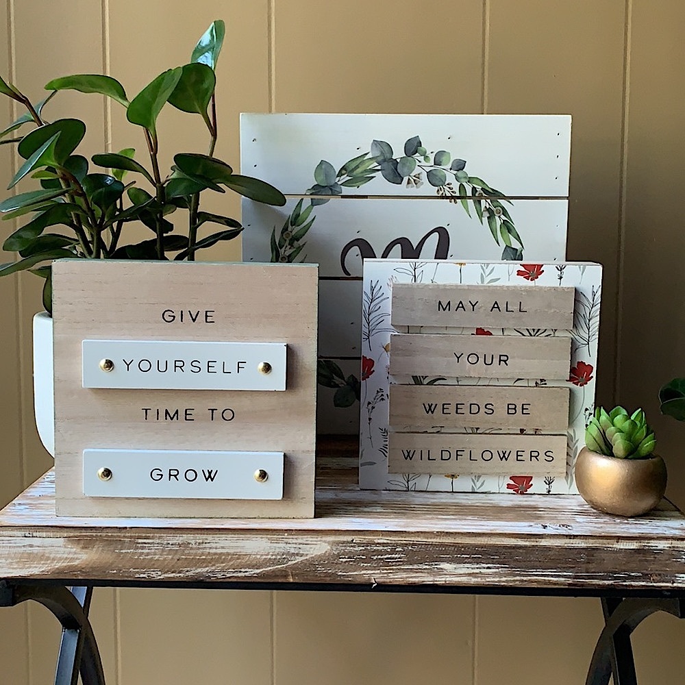 Motivation for the plant lover 🌿